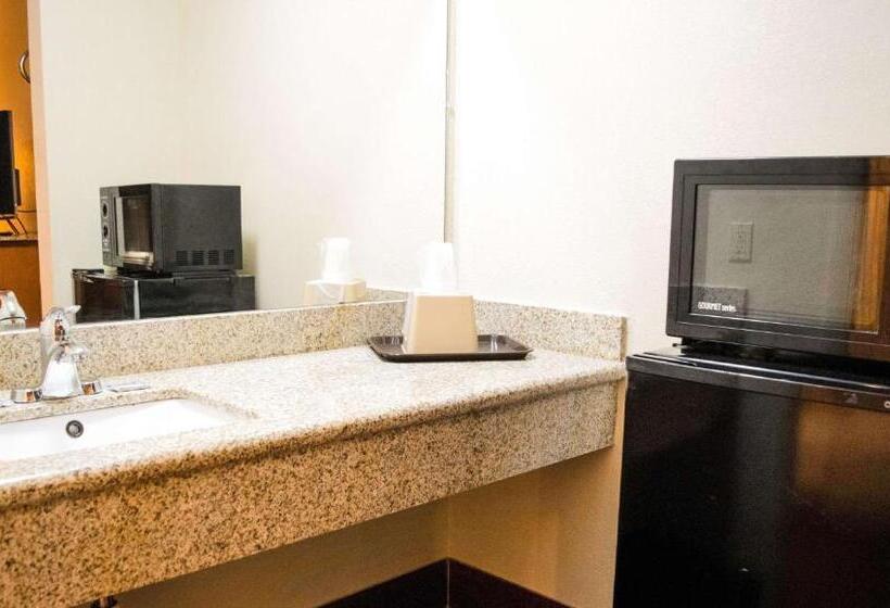스탠다드 룸 킹사이즈 침대, Express Inn Newport News