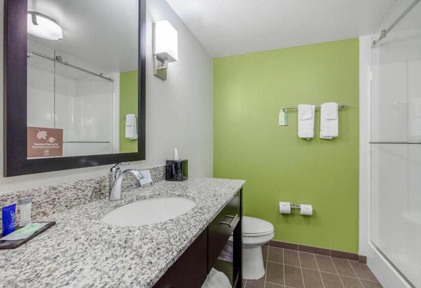 Номер Стандарт, Comfort Inn St Louis Airport