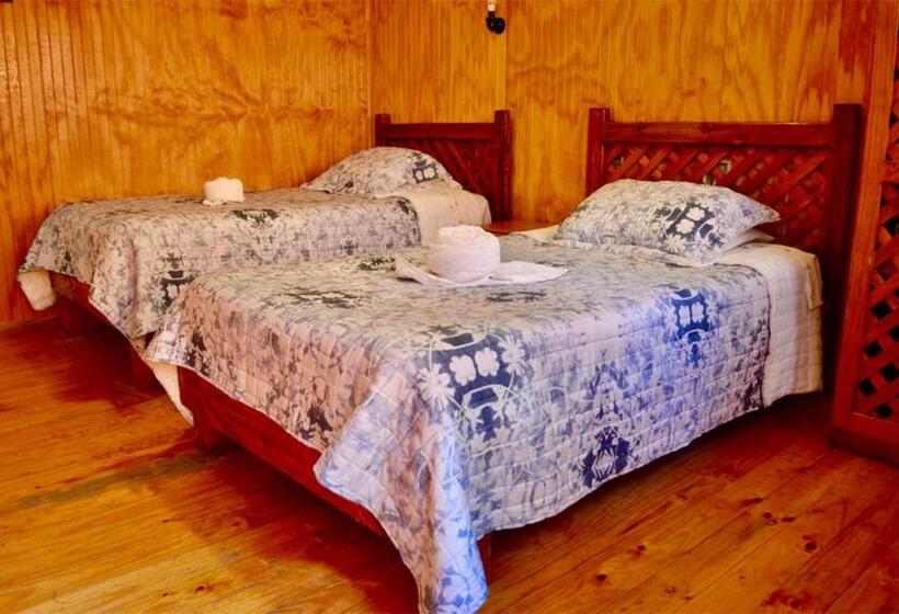 Номер Стандарт, Hostal Michel