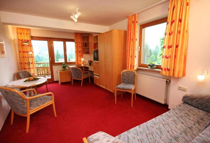 Люкс Вид на Горы, Bellevue
