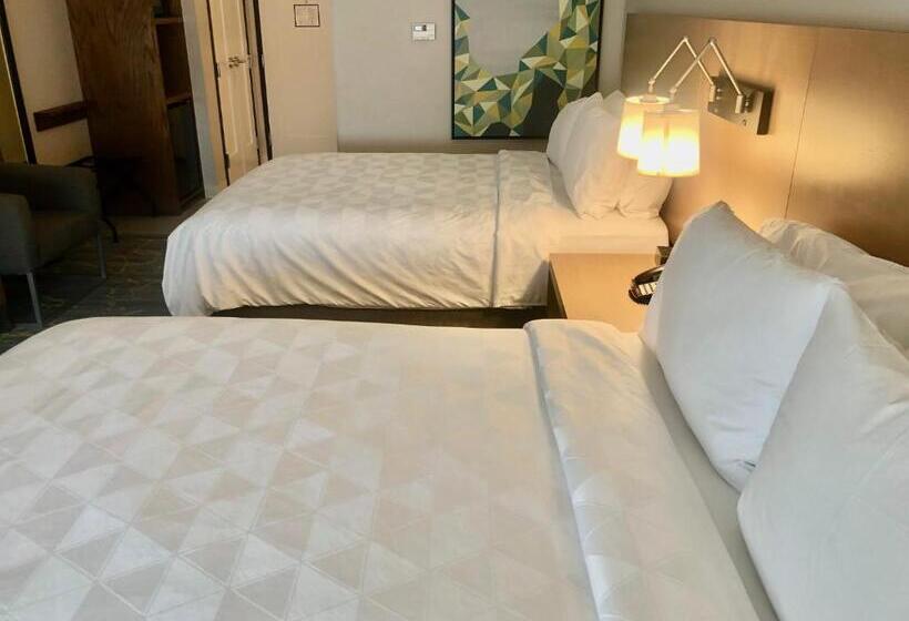 适合残疾人使用的标准间, Holiday Inn & Suites Houston Nw   Willowbrook By Ihg