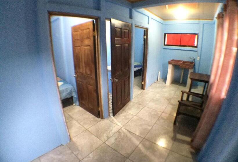标准间, Green Macaw Hostel