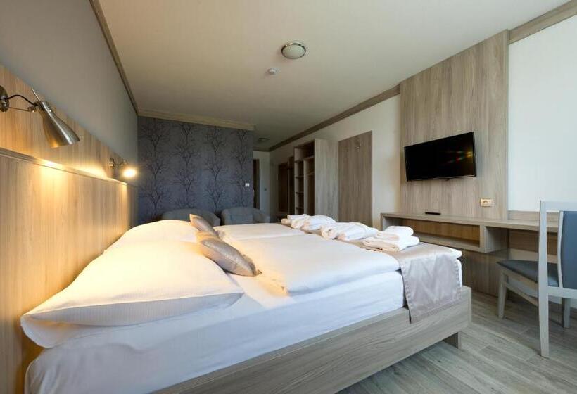 Номер Deluxe, Wellness Penzion Medličky