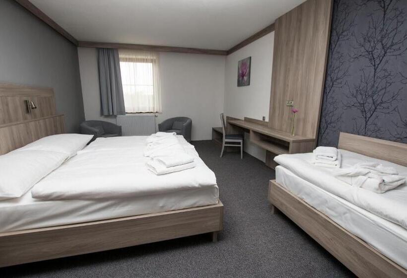 Номер Deluxe, Wellness Penzion Medličky