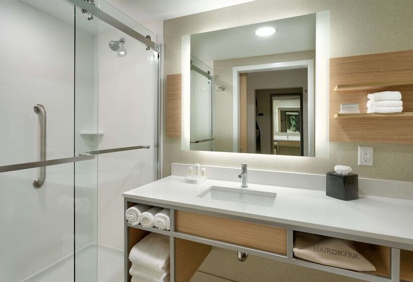 Номер Стандарт Двуспальная Кровать, Hilton Garden Inn Lehi