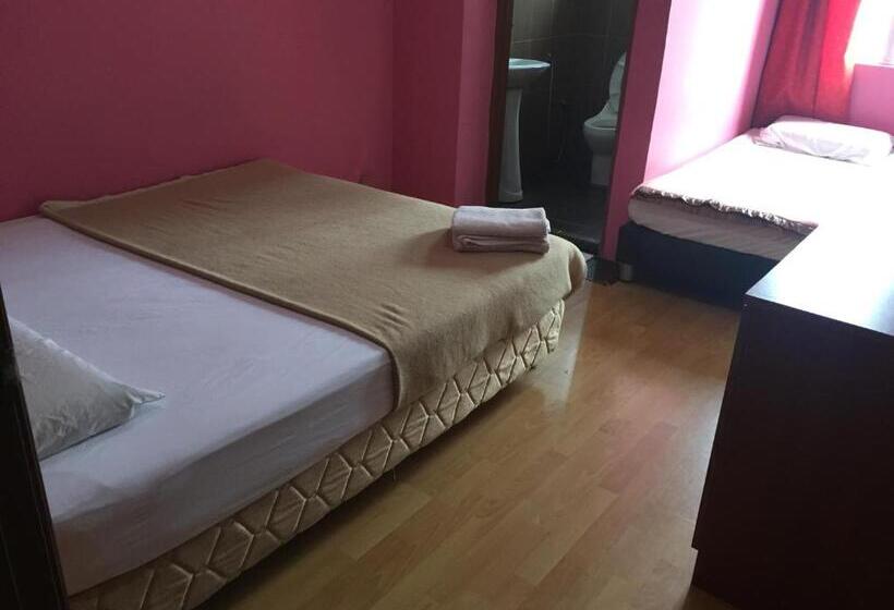 Номер Стандарт Трехместный, Golden Night Hotel Cameron Highlands