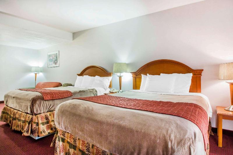 Номер Стандарт, Ibis Pune Hinjewadi   An Accor Brand