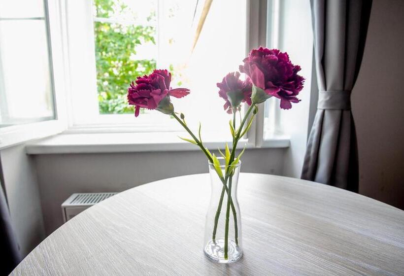 استودیوی استاندارد, Zagreb City Vibe Apartments & Rooms
