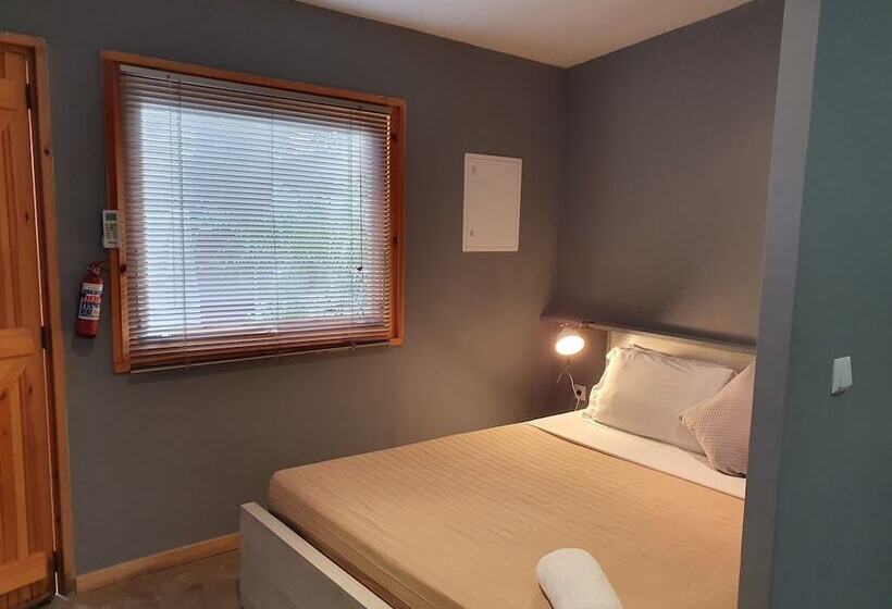 סטודיו בסיסי, Liv Inn Guest House