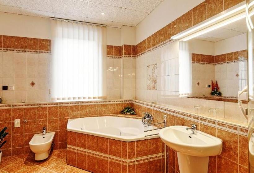 Номер Стандарт с Гидромассажем, Penzion Bird's Nest