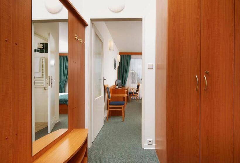غرفة قياسية, Spa Resort Libverda   Hotel Nový Dům