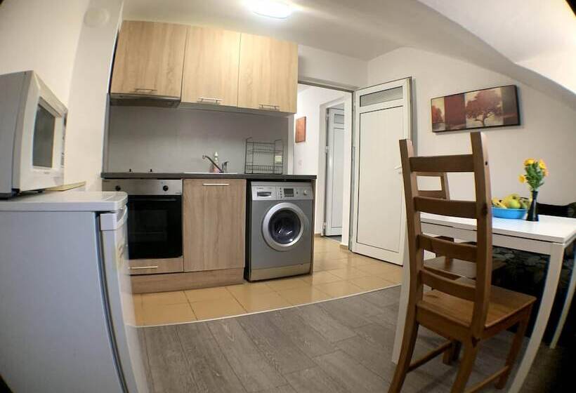 带1个卧室的公寓, Samuil Apartments