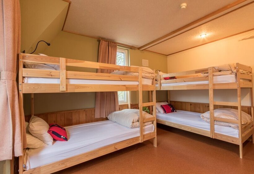 اتاق استاندارد چهار تخته, Freeride Backpackers Lodge Niseko