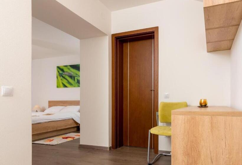 آپارتمان لوکس 1 خوابه, Casa Nicolae Luxury Suites