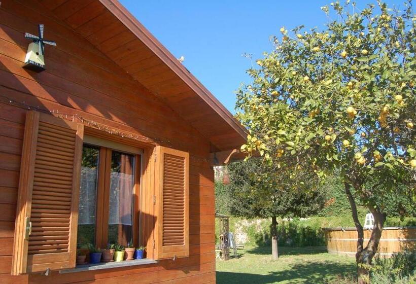 Номер Стандарт, O Chalet