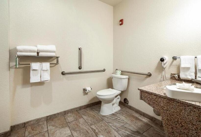 استودیوی استاندارد, Cobblestone Hotel & Suites   Victor