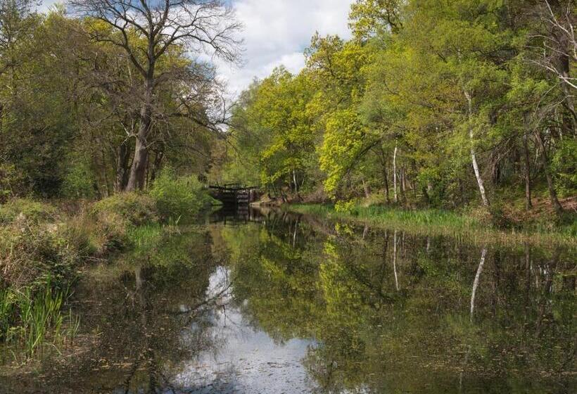آپارتمان 1 خوابه, Oakdale At Park Heights
