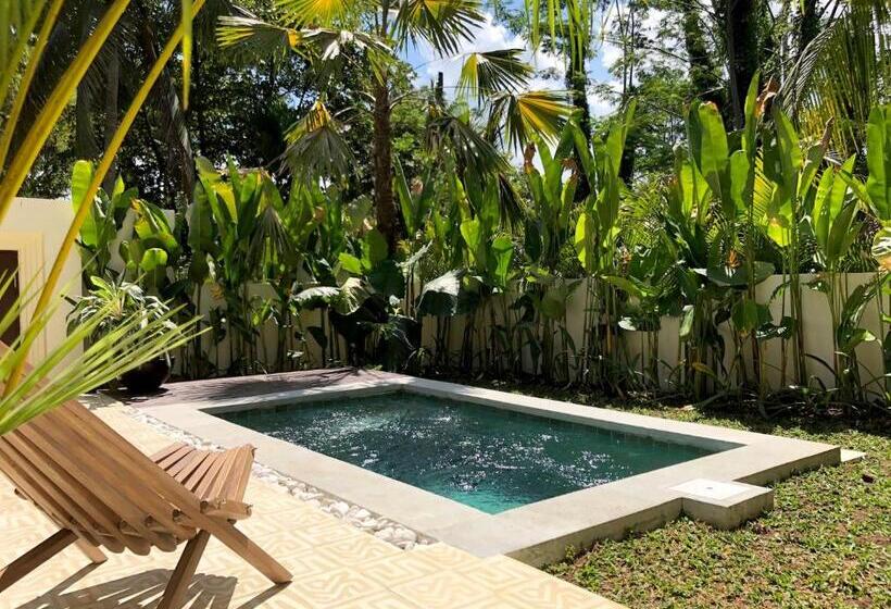 스탠다드 스튜디오 풀장 전망, Soulshine Bali