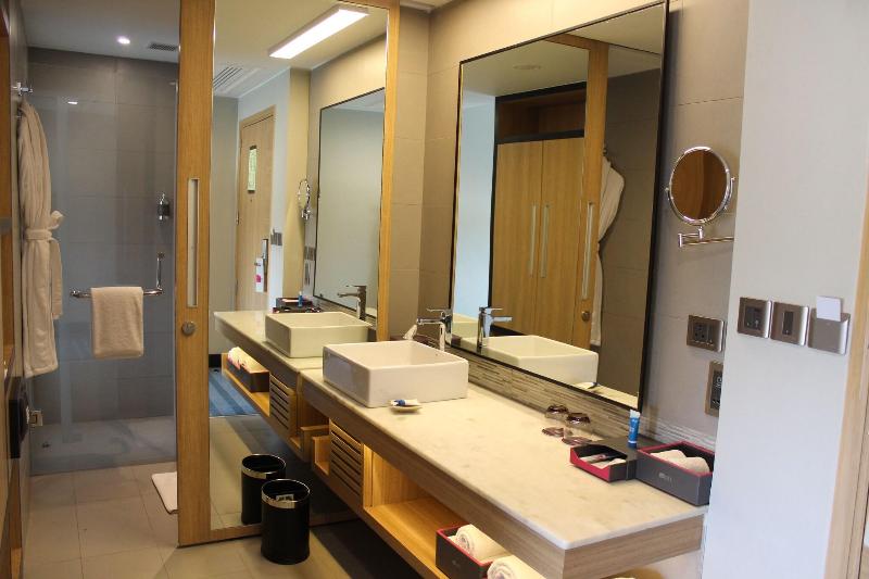 اتاق استاندارد, Aloft New Delhi Aerocity