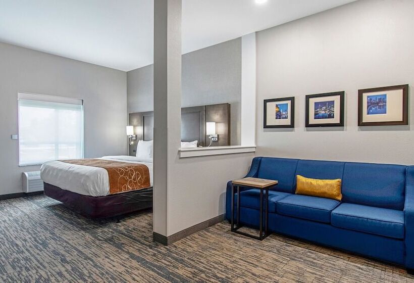 Люкс Адаптированный для Инвалидов, Comfort Suites Grove City  Columbus South