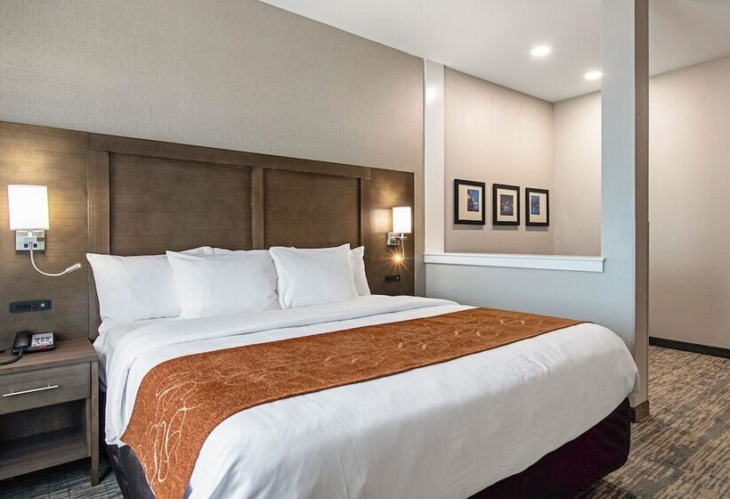 Люкс Адаптированный для Инвалидов, Comfort Suites Grove City  Columbus South