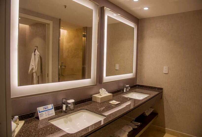 Номер Premium с Балконом, Hilton Pilar
