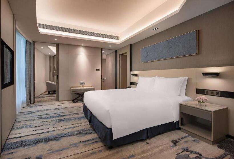سوئیت با تخت بزرگ, Holiday Inn   Nanjing South Station, An Ihg
