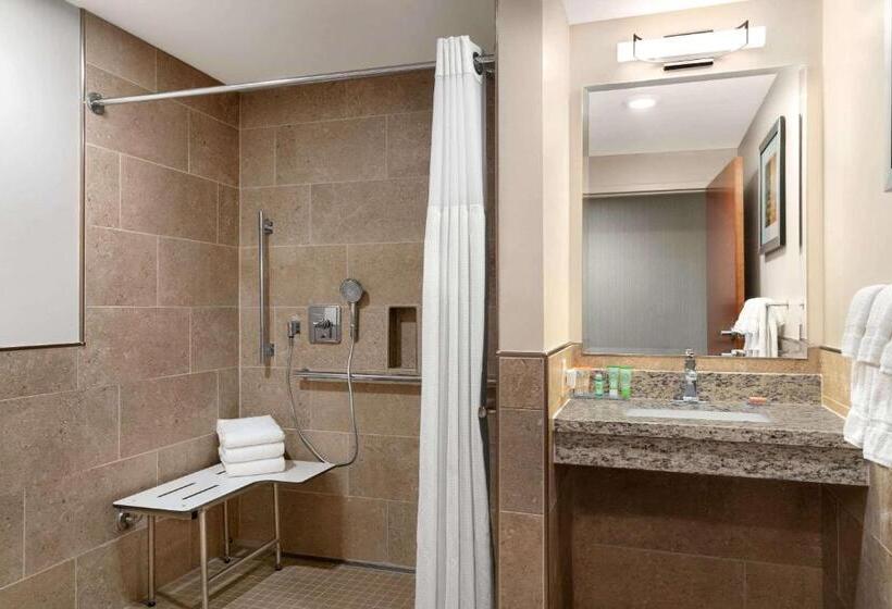 Люкс Адаптированный для Инвалидов, Wyndham Garden State College