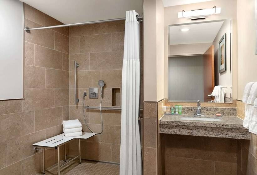 Люкс Адаптированный для Инвалидов, Wyndham Garden State College