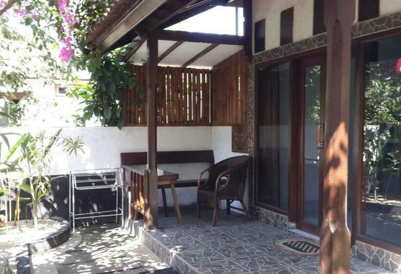 Номер Стандарт, Dili Gili