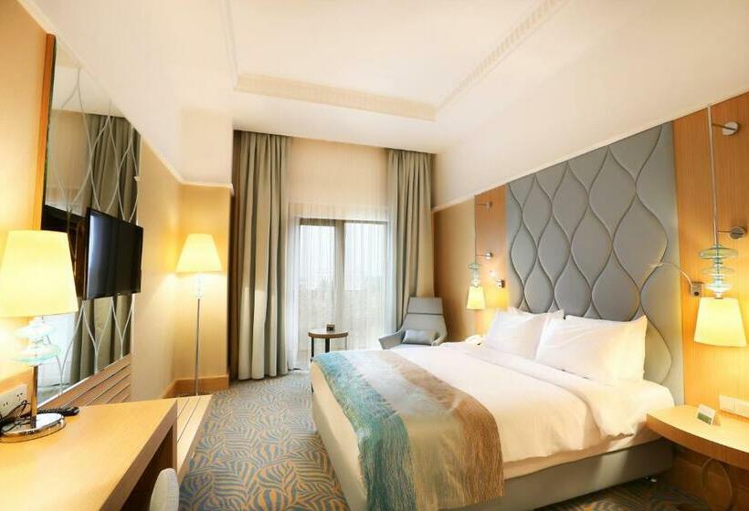 غرفة قياسية لذوى الاحتياجات الخاصة, Tryp By Wyndham Izmit