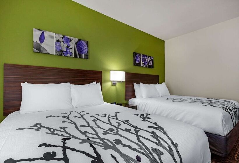 Номер Стандарт 2 Двуспальные Кровати, Sleep Inn & Suites Tampa South