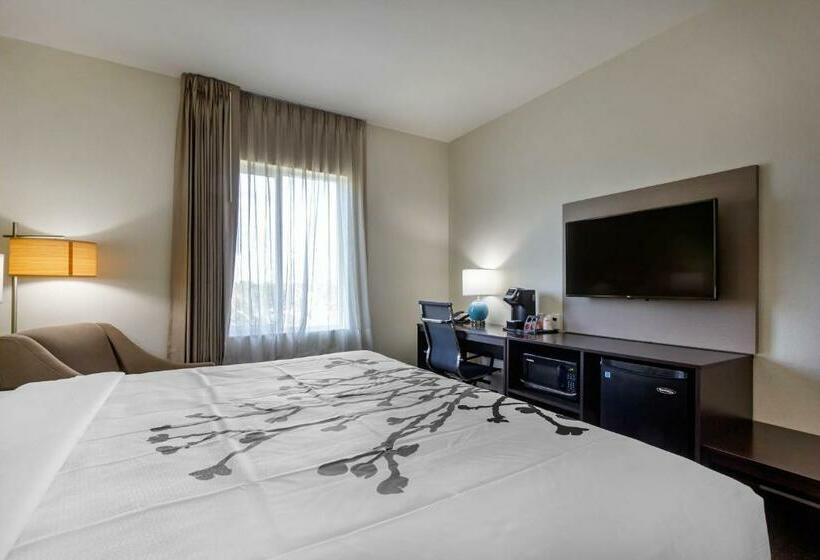 Стандартный Номер Кровать Кинг, Sleep Inn & Suites Tampa South