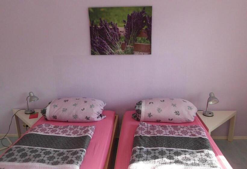 Номер Basic, Pension Sonnenschein