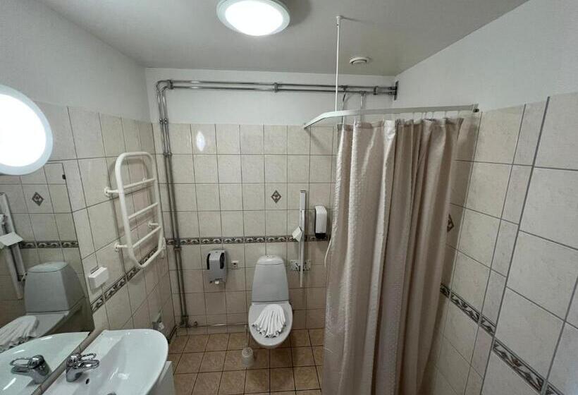 Номер Стандарт Адаптированный для Инвалидов, Fritza   Tidigare Hotel Fritzatorpet