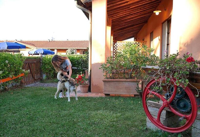 آپارتمان 1 خوابه اینتریور, Podere San Giuseppe