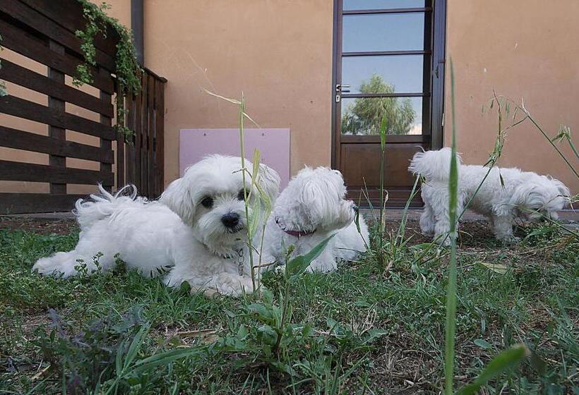 آپارتمان 1 خوابه اینتریور, Podere San Giuseppe