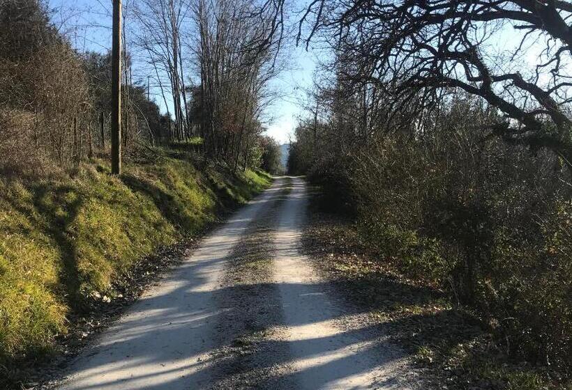 غرفة قياسية مزوَّدة بشُرفة, Poggio Cantarello Vacanze