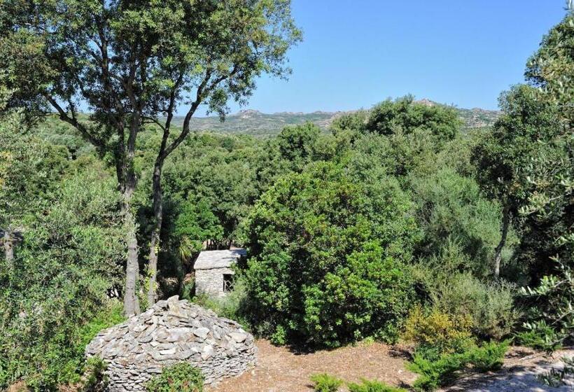 خانه 2 خوابه, Residence Sophia