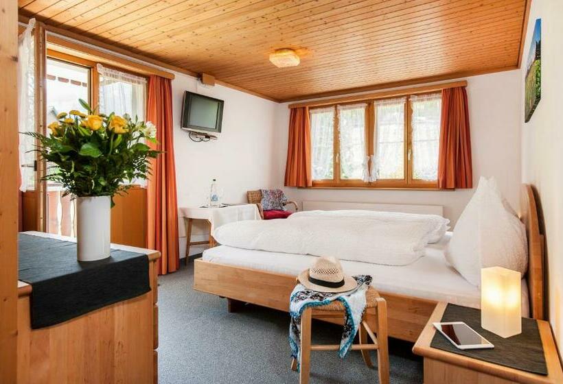 Номер Стандарт, Schwendi Lodge
