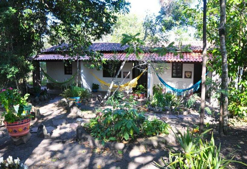 Номер Стандарт, Castelar Da Alvorada