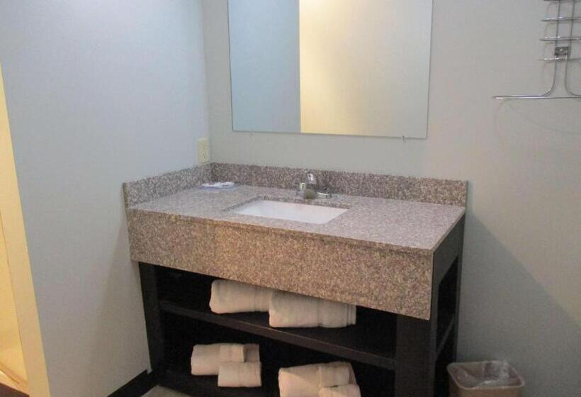 스탠다드 룸 킹사이즈 침대, Motel 6 Shartlesville, Pa