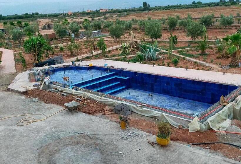 Номер Стандарт, Chez Jm Saida
