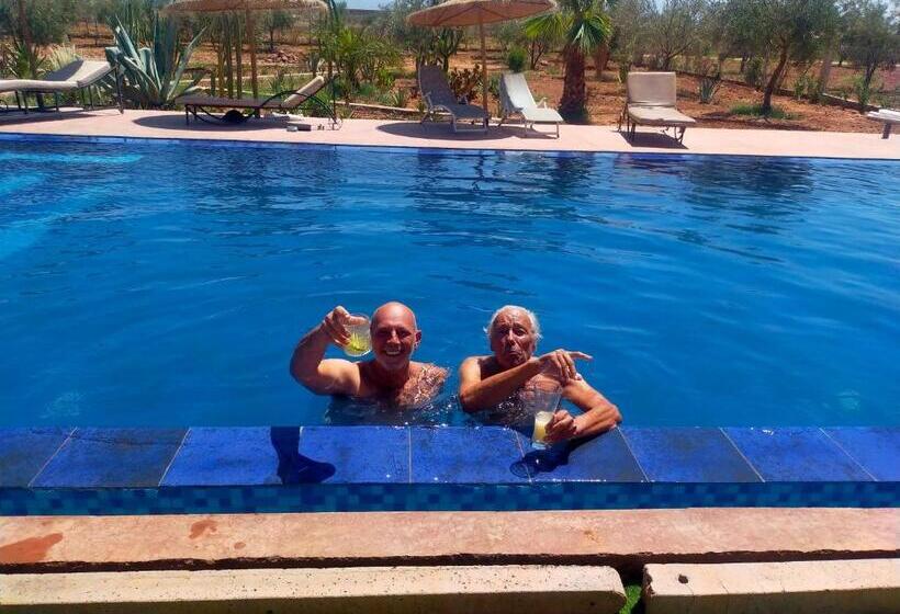 Номер Стандарт, Chez Jm Saida