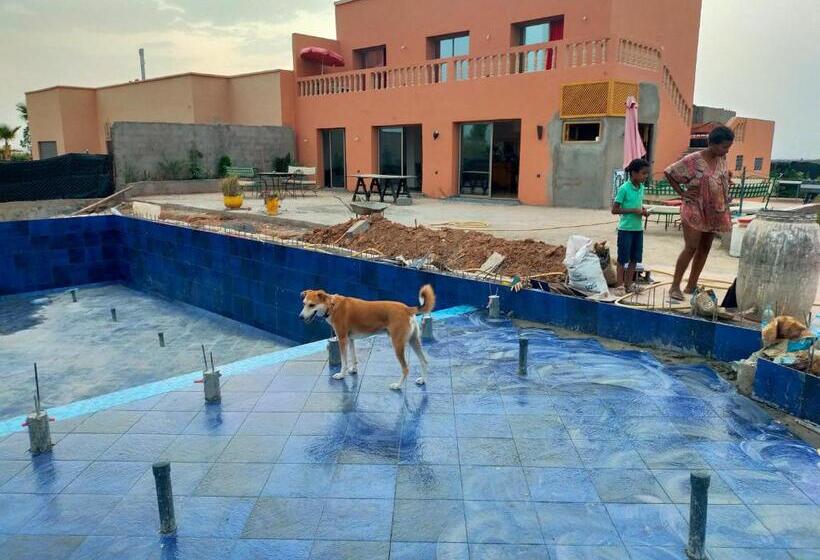 Номер Стандарт, Chez Jm Saida