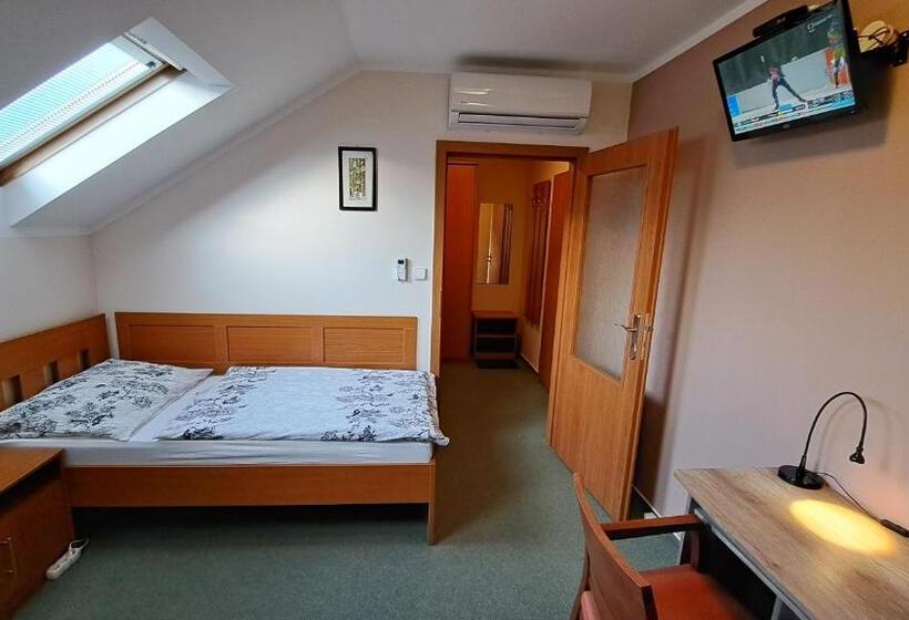 اتاق استاندارد یک نفره, Penzion Aida Ostrava