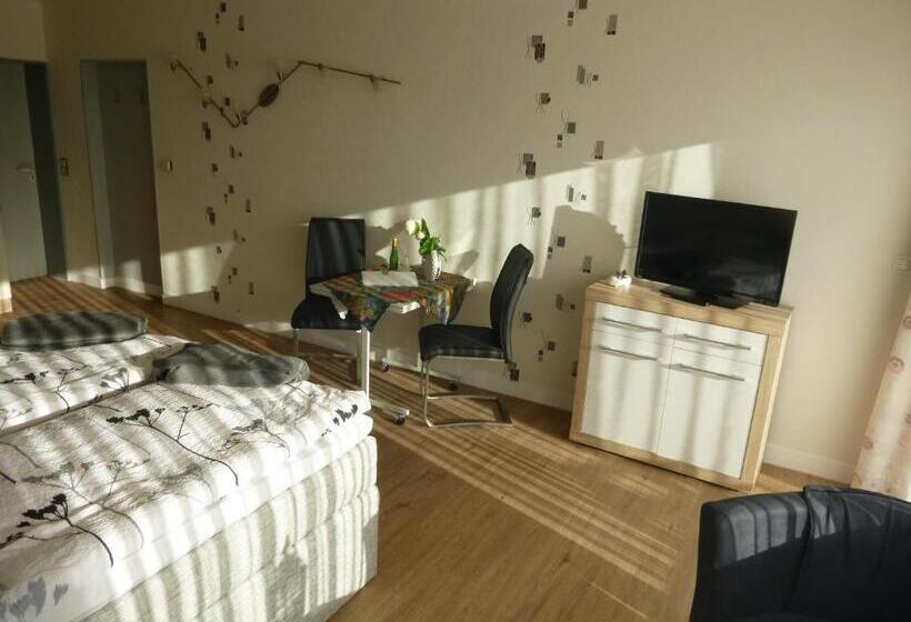 Студия Стандарт, Haus Delphin