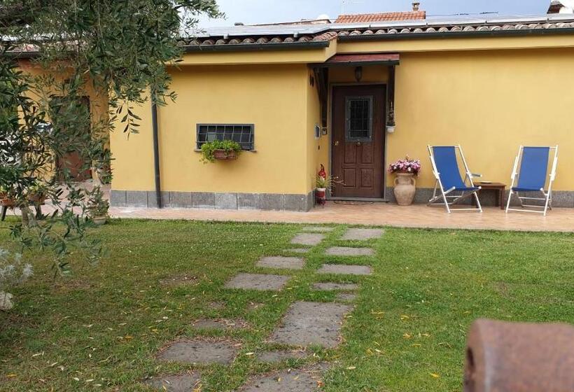 Номер Стандарт, L Antico Vigneto