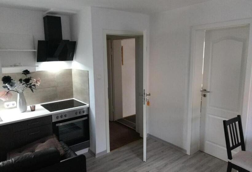 شقة سوبريور غرفة واحدة, Harzpension Haus Königskopf