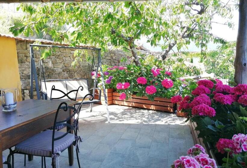 Апартаменты 1 Спальня с Террасой, Agriturismo Al Pagan